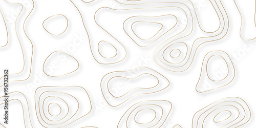Exploring the Synergies Between Topographic Details and Topological Relationships in the Context of Vector Mapping and Background Design