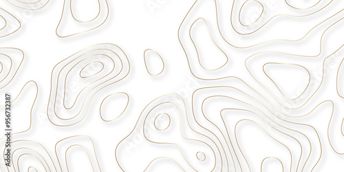 Exploring the Synergies Between Topographic Details and Topological Relationships in the Context of Vector Mapping and Background Design