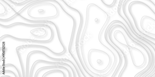 Exploring the Synergies Between Topographic Details and Topological Relationships in the Context of Vector Mapping and Background Design