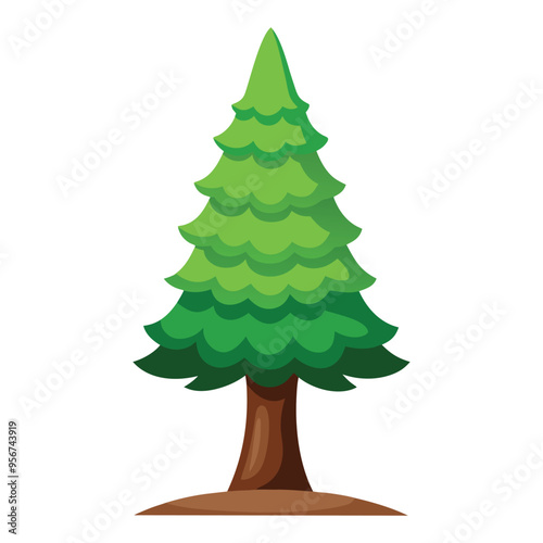 Illustration of Cypress tree isolated on white