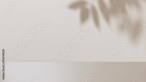 Moving Leaf Shadows on Brown Wall Surface