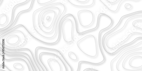 A Detailed Exploration of How Topography and Topology Work Together in Vector Map Design to Improve the Quality and Depth of Background Representations