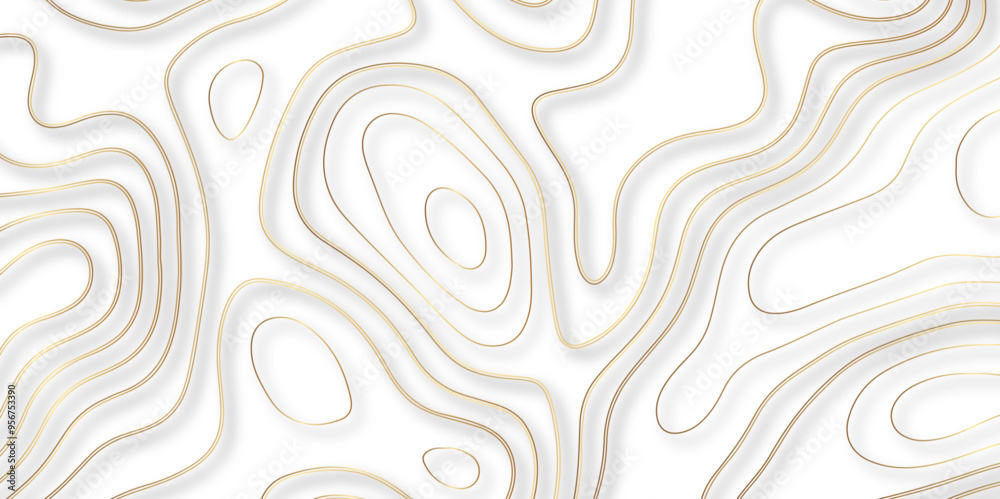 The Critical Role of Topography and Topology in the Development of Vector Maps That Provide Detailed and Accurate Background Layers for Geospatial Use The Critical Role of Topography and Topology in the Development of Vector Maps That Provide Detailed and Accurate Background Layers for Geospatial Use