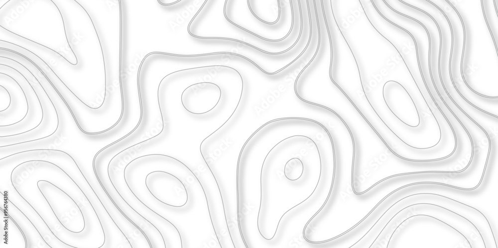 The Evolution of Background Design in Vector Maps Through the Integration of Topographic and Topological Principles in Modern Cartographic Practices The Evolution of Background Design in Vector Maps Through the Integration of Topographic and Topological Principles in Modern Cartographic Practices