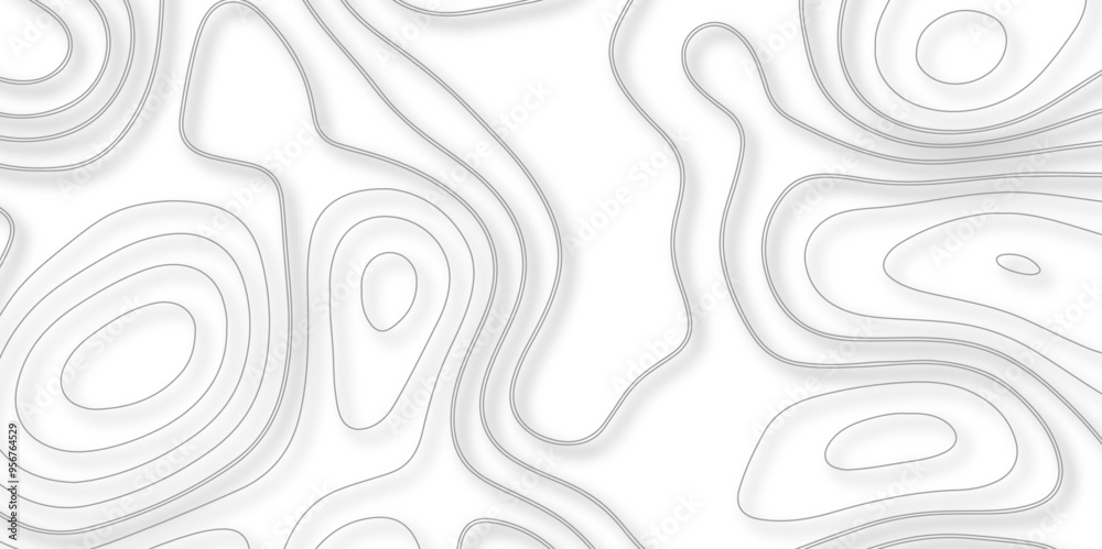 A Deep Dive into the Role of Topography and Topology in Vector Map 