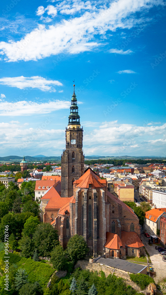 Fototapeta premium View of the cathedral in Swidnica, Poland