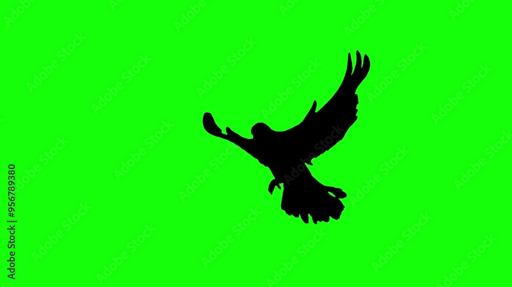 Black silhouette bird flying slow motion on green background. Green screen for compositing and presentation.