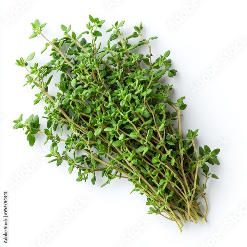 Fresh green thyme sprig isolated on white background.