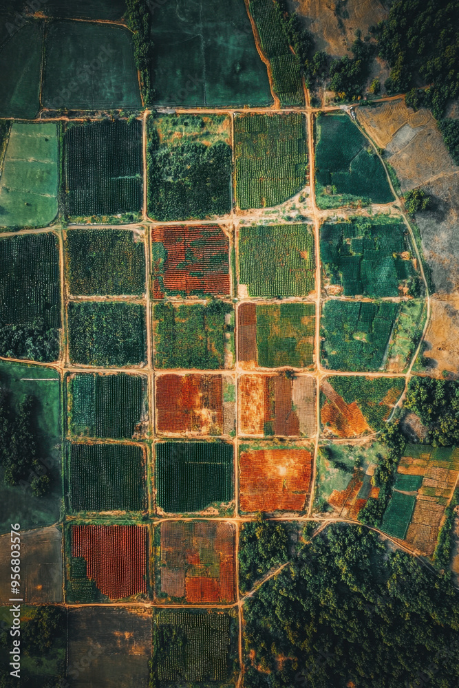 Land Planning, Aerial view displaying land divided into various plots