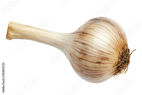 Fresh garlic bulb with a rustic appearance, perfect for culinary uses and health benefits. Ideal for food-related visuals.