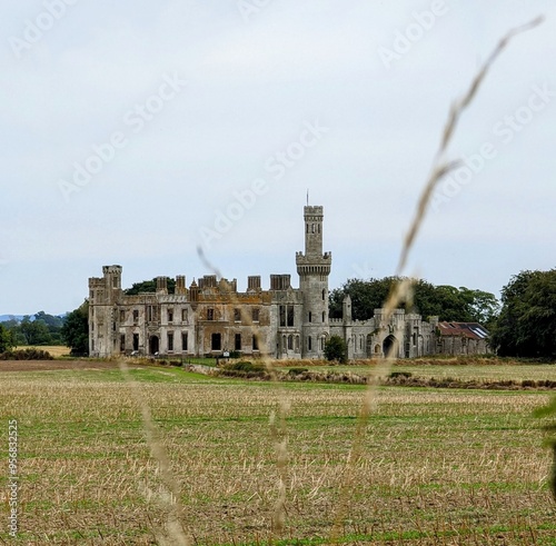 Duckett's Grove Castle in Ireland photo