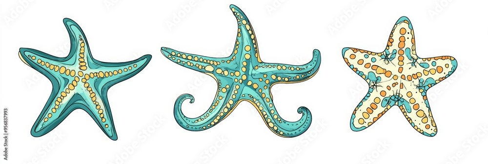 Colorful turquoise starfish trio illustration on a clean white background Colorful turquoise starfish trio illustration on a clean white background