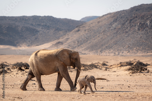 An adult and baby elephant walking in the desert with mountains in the background in Damaraland, Namibia