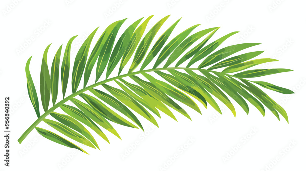 Tropical Leaves Vector Phoenix Palm Leaf Isolated Tropical Leaves Vector Phoenix Palm Leaf Isolated