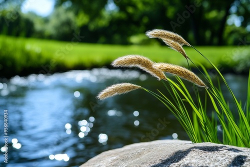 Riverbank scenery, tall grasses, flowing water capture the tranquility of natureâ€™s edge photo