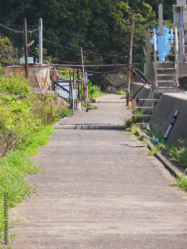 漁村の堤防内側の道