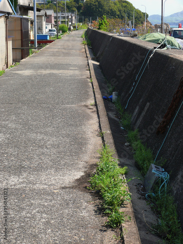 漁村の堤防内側の道 photo