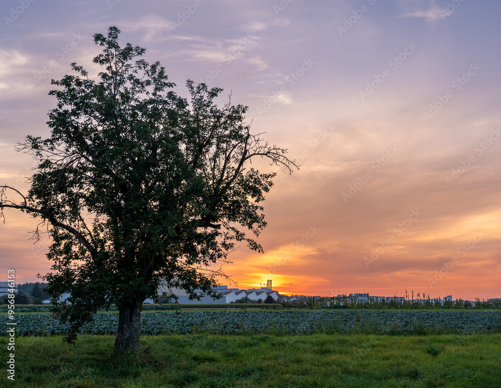 sunset in the countryside