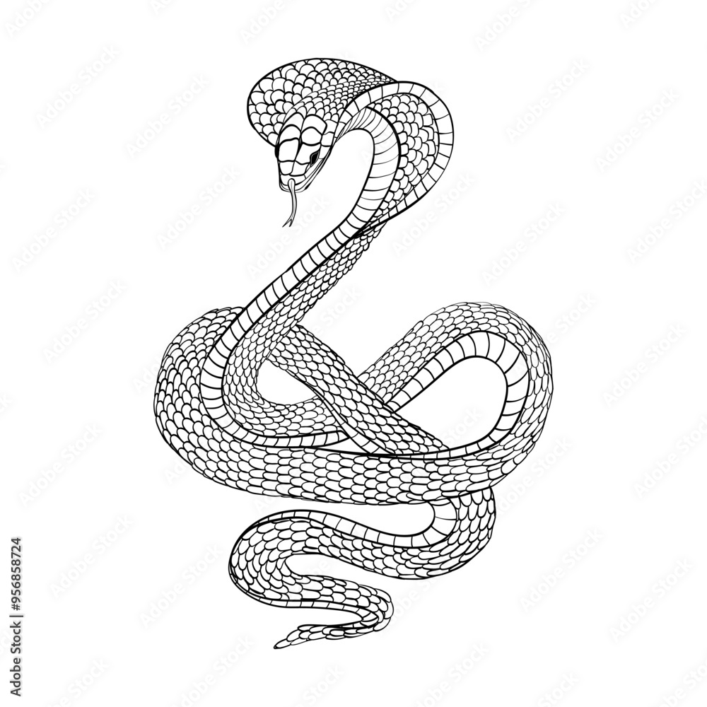 Fototapeta premium Snake black is isolated on a white background. Chinese New Year 2025, the year of the Snake. Vector illustration