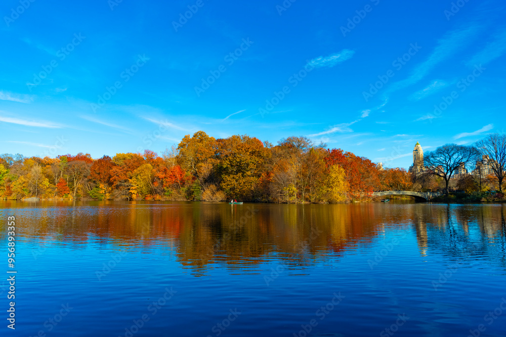 Fototapeta premium New York autumn fall. New York City Central Park with boat in lake. Autumn landscape nature. People rowing a boat in Central Park pond. Central Park in autumn with colorful fall trees. Autumn nature