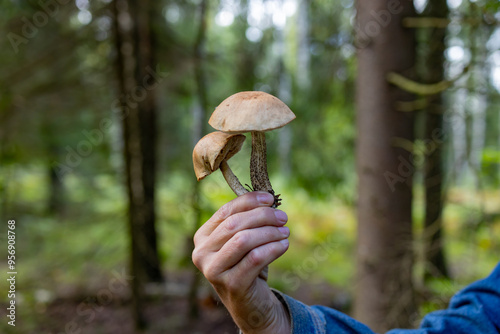 A man in the forest holds a mushroom at arm's length