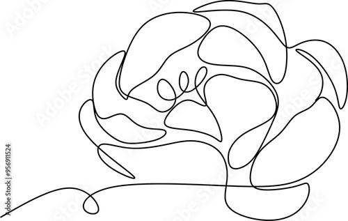 The flower is drawn as a continuous line. Vector illustration.