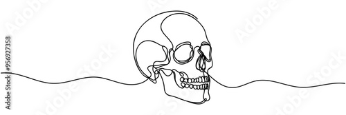 Human scull. One line continuous Halloween skull isolated on white background. Line art outline vector illustration