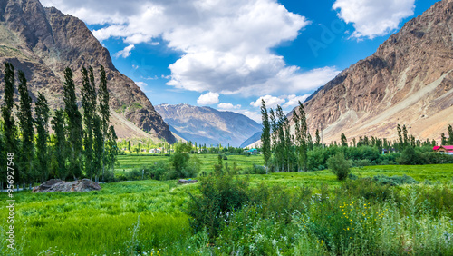 Suru Valley near Kargil Ladakh India is a beautiful destination with green land scape and dense plantation. photo