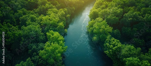 Drone timelapse capturing a serene winding river flowing through a dense forest The sunlight filters through the canopy creating dappled light patterns on the calm reflective water surface