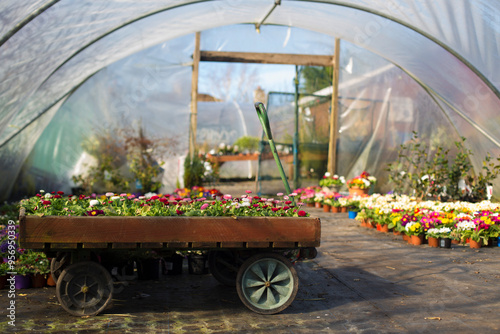 Garden Flowers: Planting and Cultivating in Your Outdoor Space