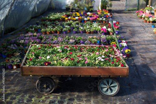 Garden Flowers: Planting and Cultivating in Your Outdoor Space