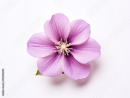 Mauve heart isolated on background