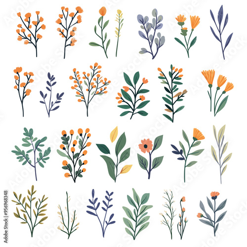 Vintage vector botanical illustration, Set, Autumn flowers, berry and leaves, Colorful