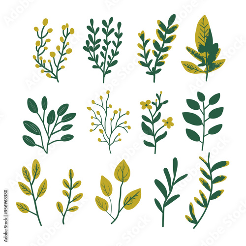 Vintage vector botanical illustration, Set, Autumn flowers, berry and leaves, Colorful