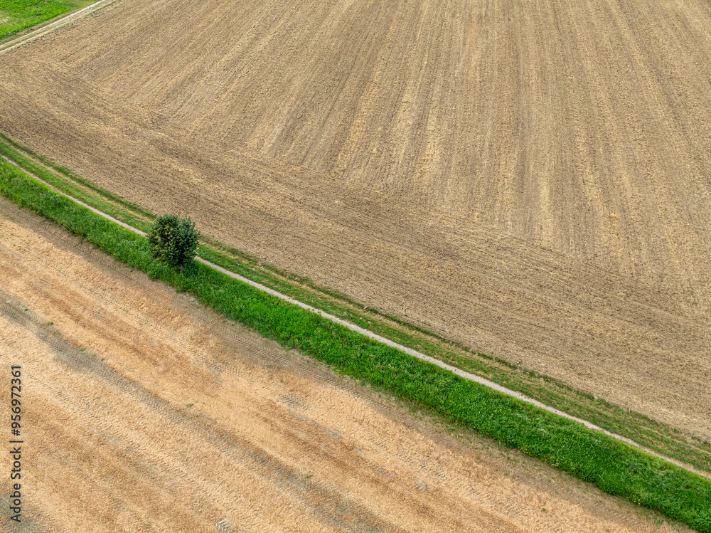 Aerial view of path through rural landscape in Switzerland. Road between fields. Aerial view of path through rural landscape in Switzerland. Road between fields.