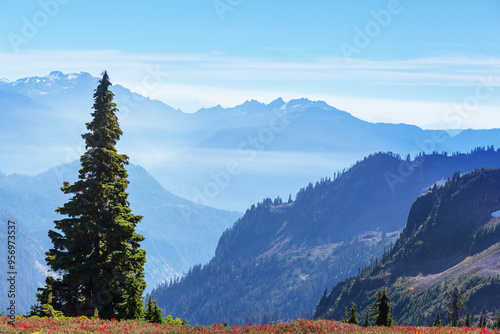 Mountains in Washington photo