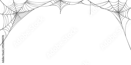 Spider web line art vector