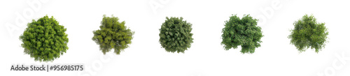 Top view, set of various green plant types showcasing different shapes and textures, cutout, png photo