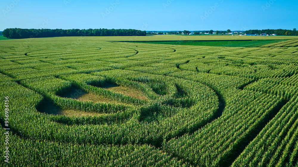 Aerial View of Corn Maze in Expansive Cornfield Aerial View of Corn Maze in Expansive Cornfield