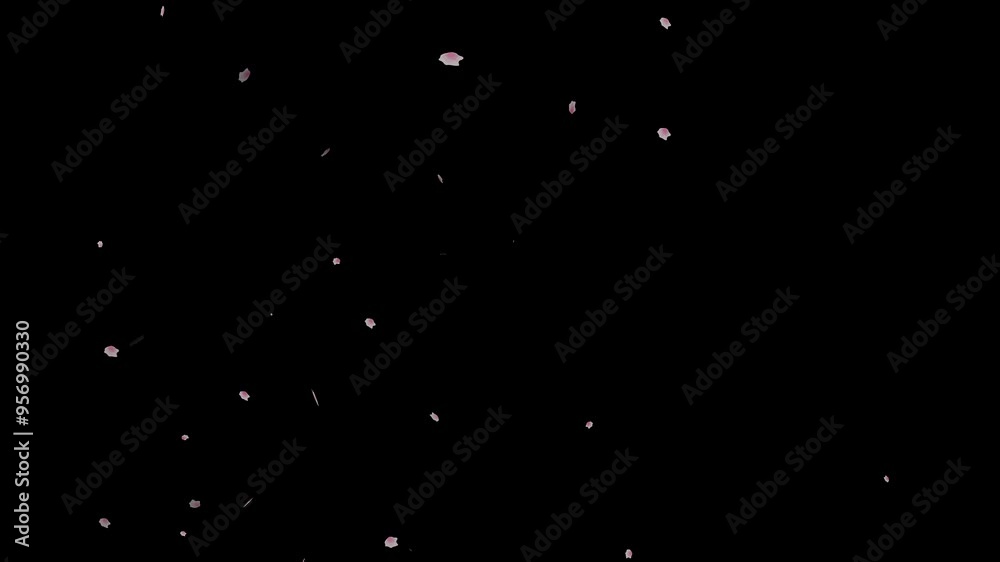 animated mov the cherry blossoms are falling. cherry blossom rain effect animated mov the cherry blossoms are falling. cherry blossom rain effect
