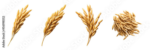 photo of rice grains with husks isolated background