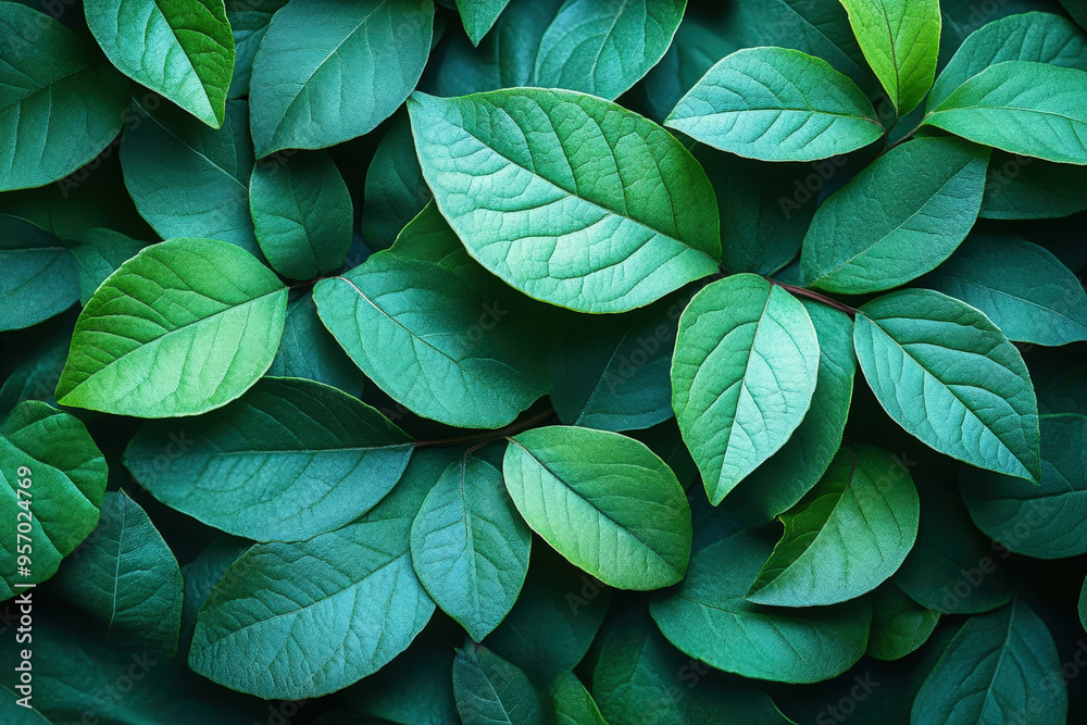 Fototapeta premium Emerald Tapestry: A mesmerizing background texture of lush, vibrant green leaves, arranged in a captivating pattern, evokes a sense of tranquility and natural beauty. 