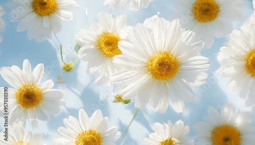 bunch white flowers