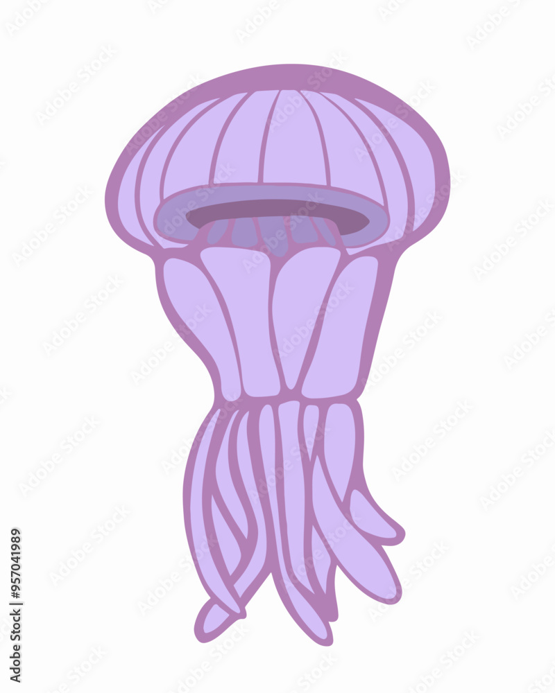 Vector isolated illustration of siphoid jellyfish on white background. Vector isolated illustration of siphoid jellyfish on white background.