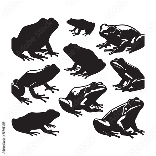 Frog set silhouette on white background
