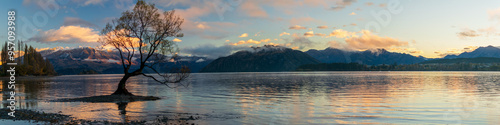 Tree in lake and mountains in background at sunrise panorama