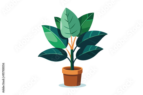 Elegant Rubber Plant vector illustration on white background.