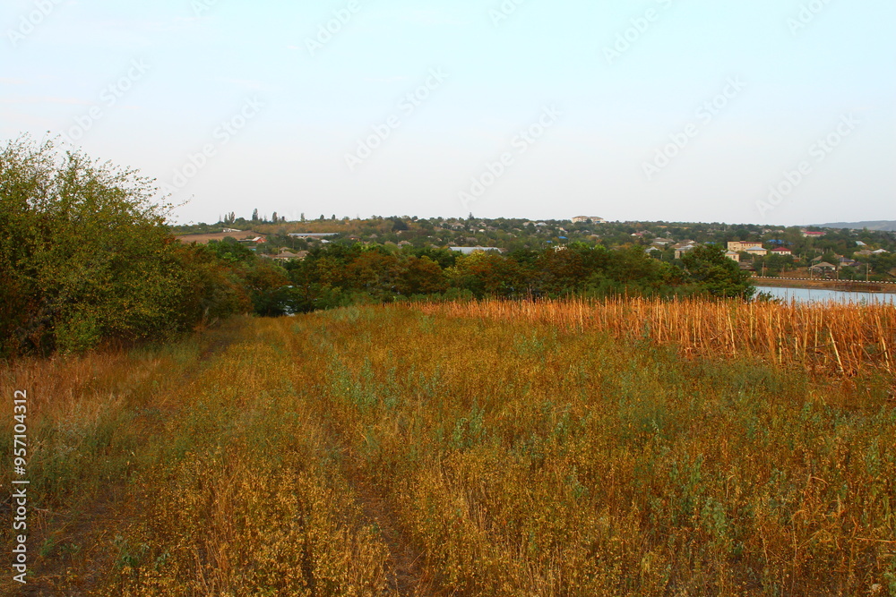 A grassy field with trees and buildings in the background A grassy field with trees and buildings in the background