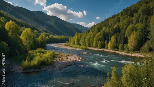 Mountain stream, summer