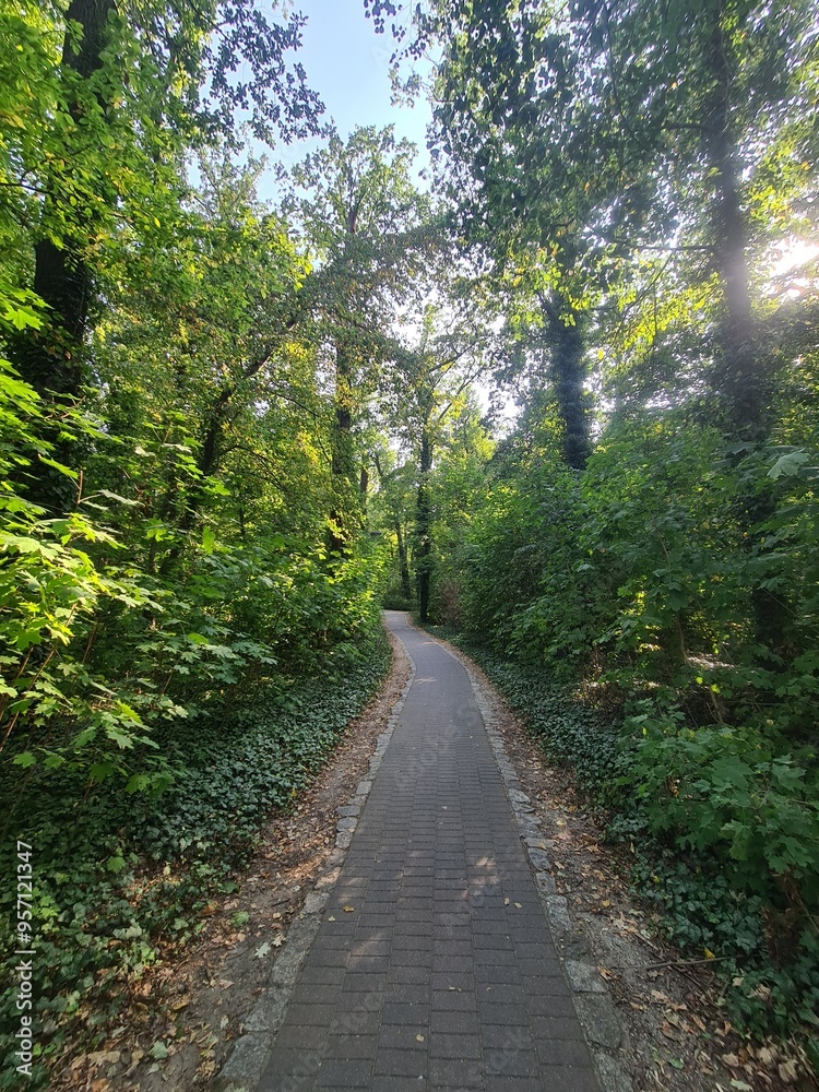 Naturpfad in Eichwalde, Brandenburg Naturpfad in Eichwalde, Brandenburg
